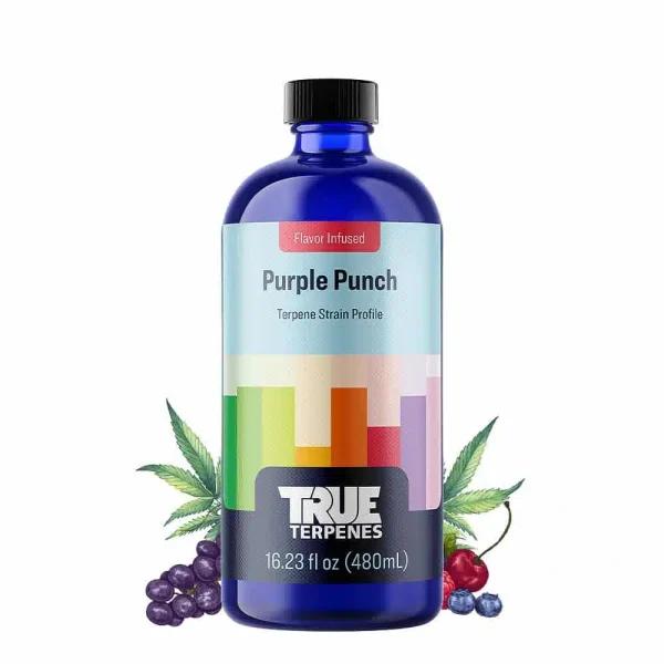 Purple Punch - 5 ml