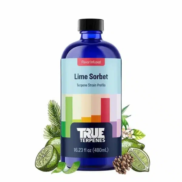 Lime Sorbet – 30 ml