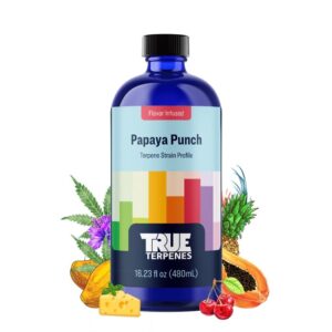 Papaya Punch - 5 ml